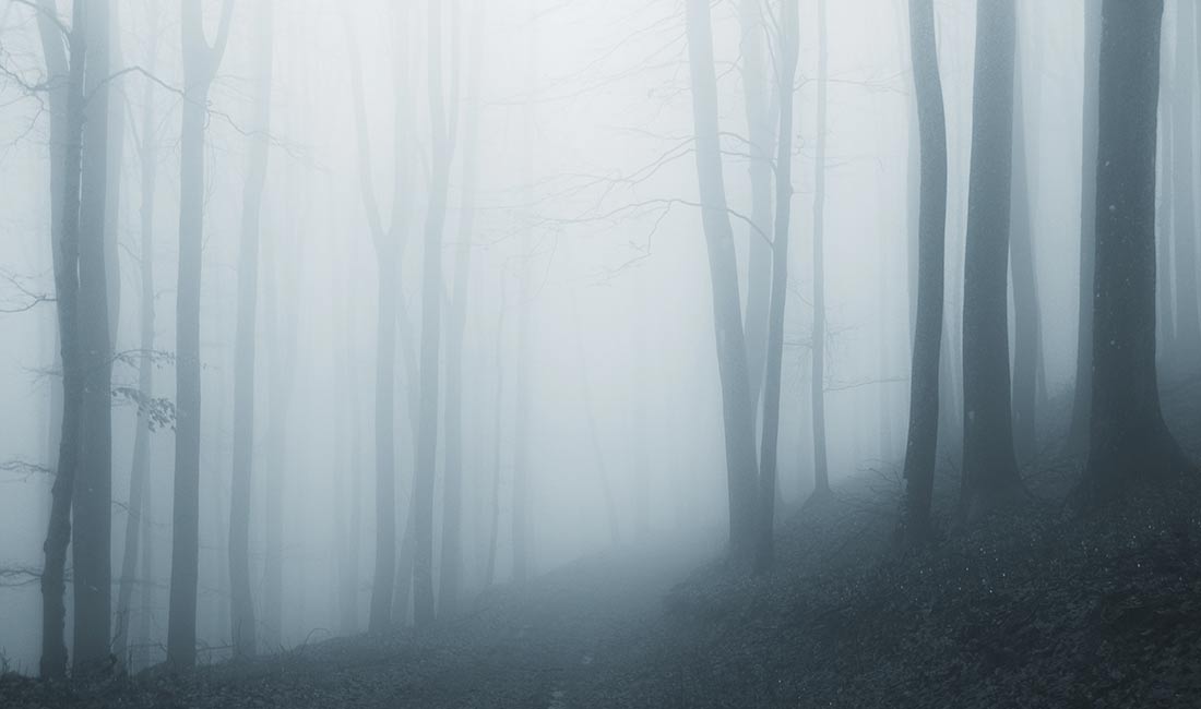 iLocalWeb strata