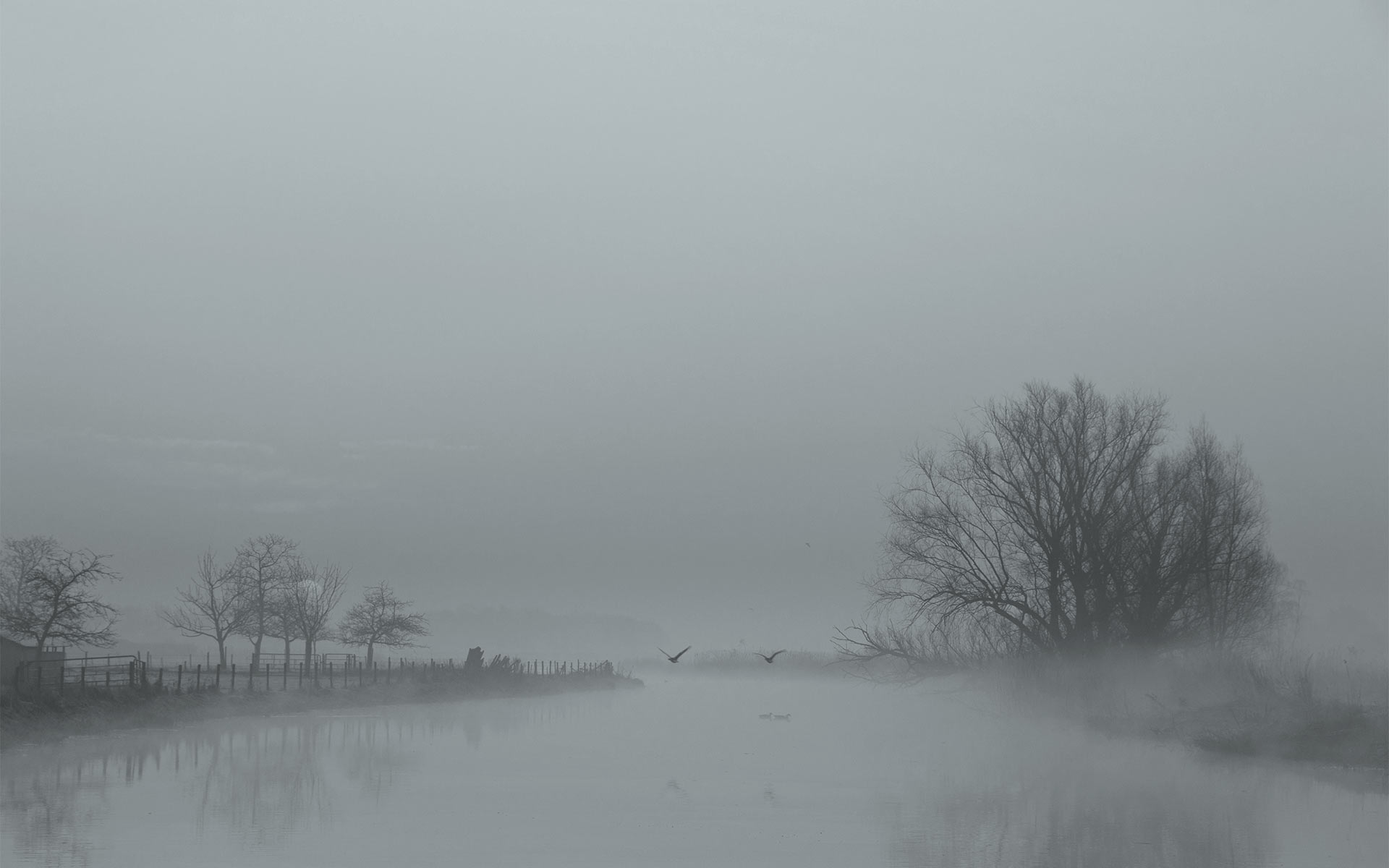 I AM LANDSCAPE PHOTOGRAPHER