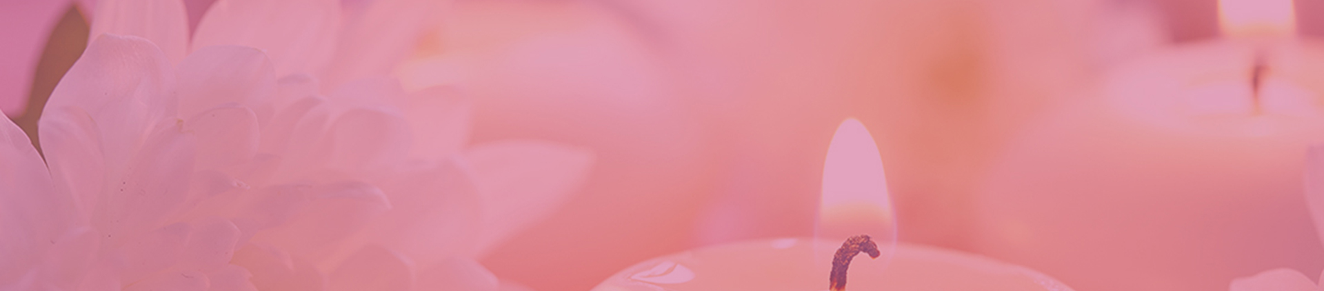 &nbsp;