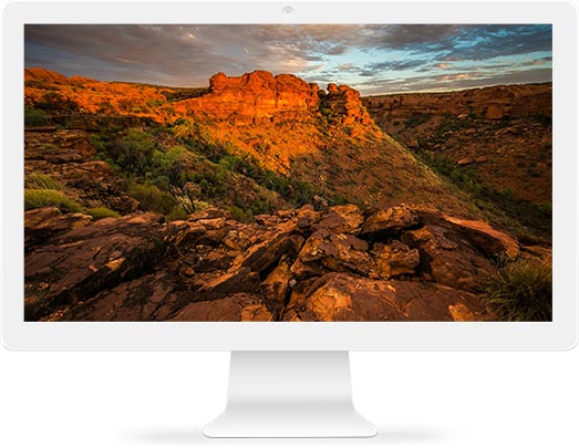 monitor a