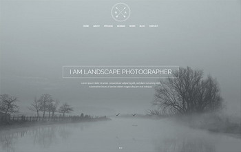 Mist