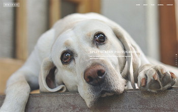 Photography Split Screen