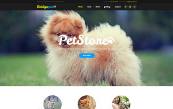 Animals