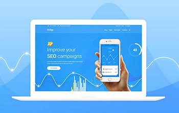 SEO Company