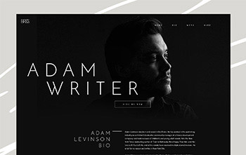 Writer