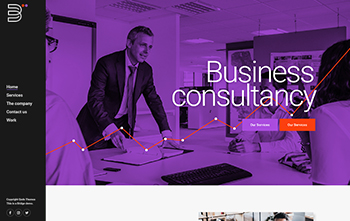 Business Consulting