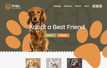 Animal Shelter