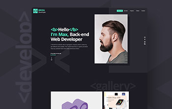 Developer Portfolio