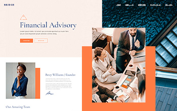 Consulting Company