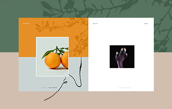 Split Screen Portfolio