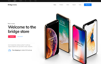 Consumer Electronics Store
