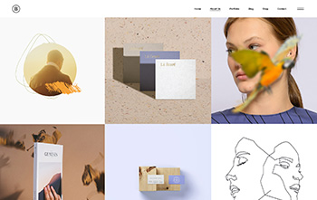 Portfolio Gallery