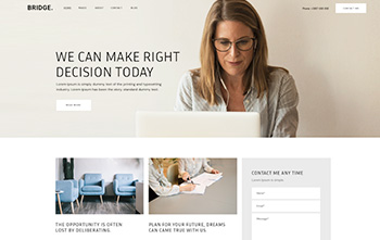 Consultant