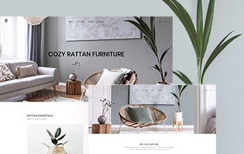 Rattan Furniture