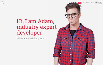 Developer