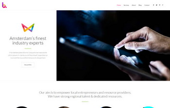 Web Agency
