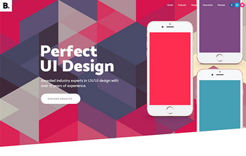 UX/UI Design