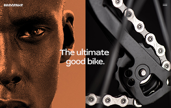 Bike Brand