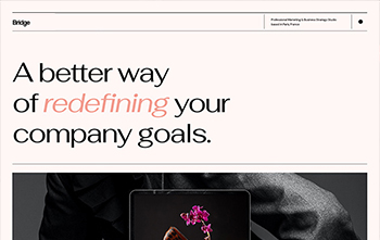 Web Agency Showcase