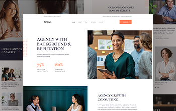 Consulting Firm