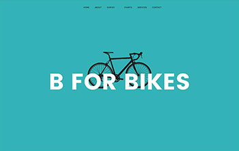 Bicycle Brand