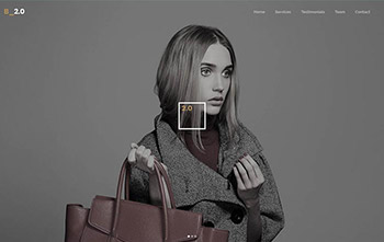 Fashion Agency