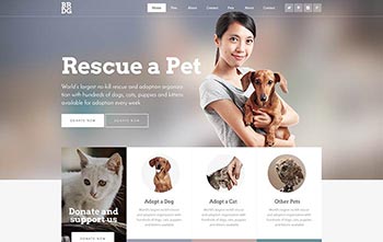 Pet Sanctuary