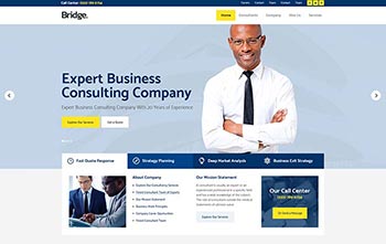 Business Consultant